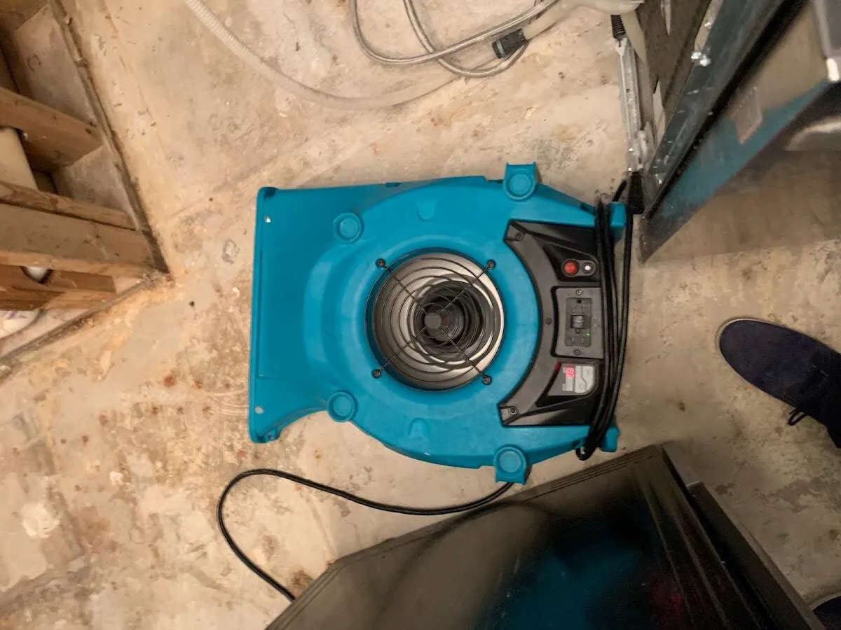 Air mover drying equipment for Mold Remediation & Removal in Ormond-by-the-Sea