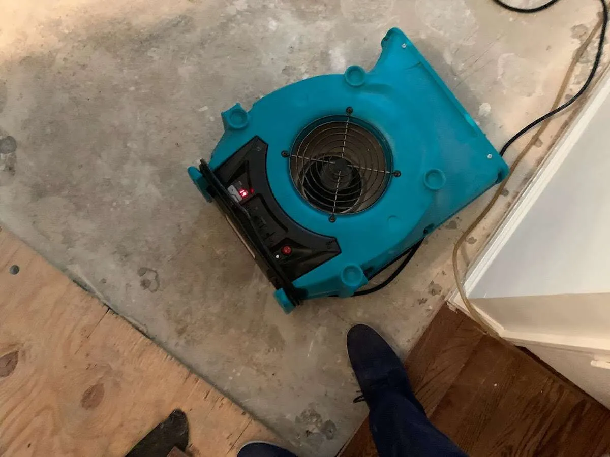 Air mover drying subfloor during Leak Detection & Repair in Ormond-by-the-Sea